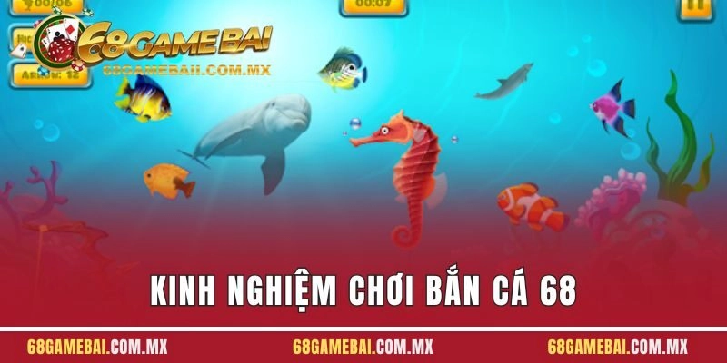 Kinh Nghiệm Chơi Bắn Cá 68 Game Bài Trúng Thưởng Cực Đã
